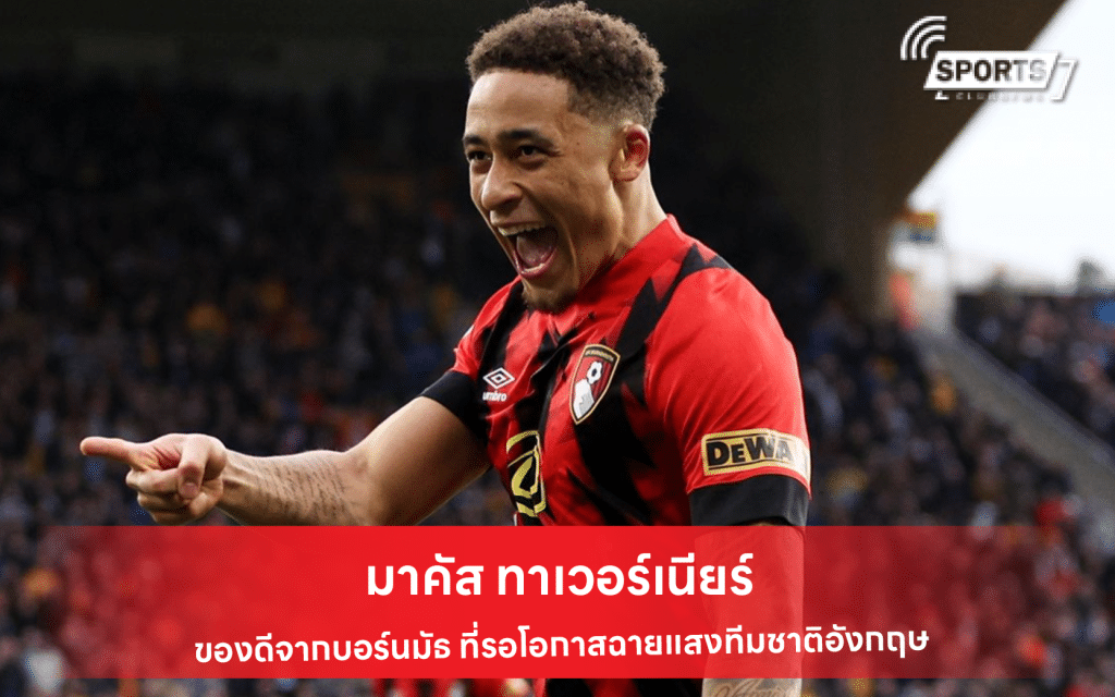 มาคัส ทาเวอร์เนียร์