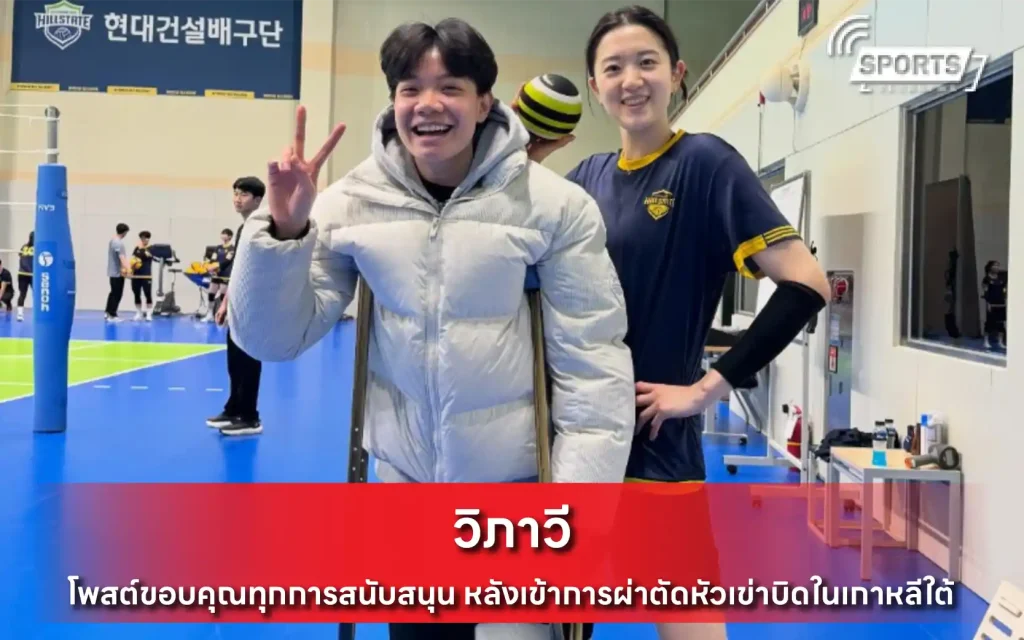 วิภาวี
